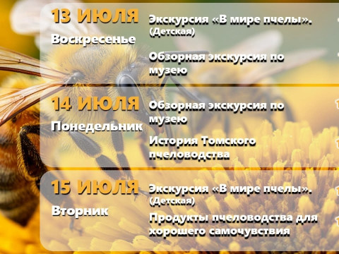 Насыщенная программа мероприятий на вторую половину июля